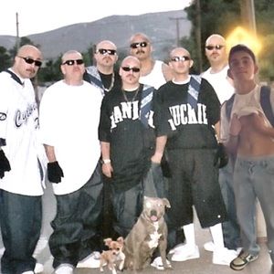 Meet your Posher, Gabriel